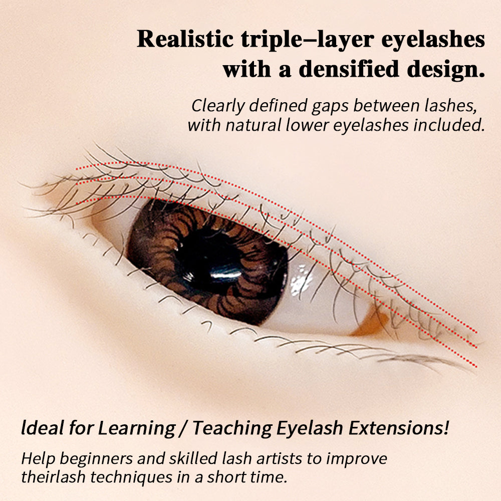 Liquid Silicone Imitation Model Head Super Soft to Open Eyelids Imitation Human Head Model 3 Lash Layers Lash Mannequin Head for Eyelash Extension, Lash Extension Practice Face for Beginners Reusable