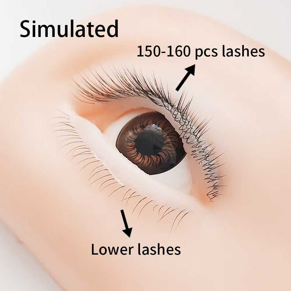Imitation Human Eye Model 150-160 pcs Lashes  Lash Mannequin Head For Eyelash Extension, Lash Extension Practice Face for Beginners Reusable Makeup Massage Training Supplies